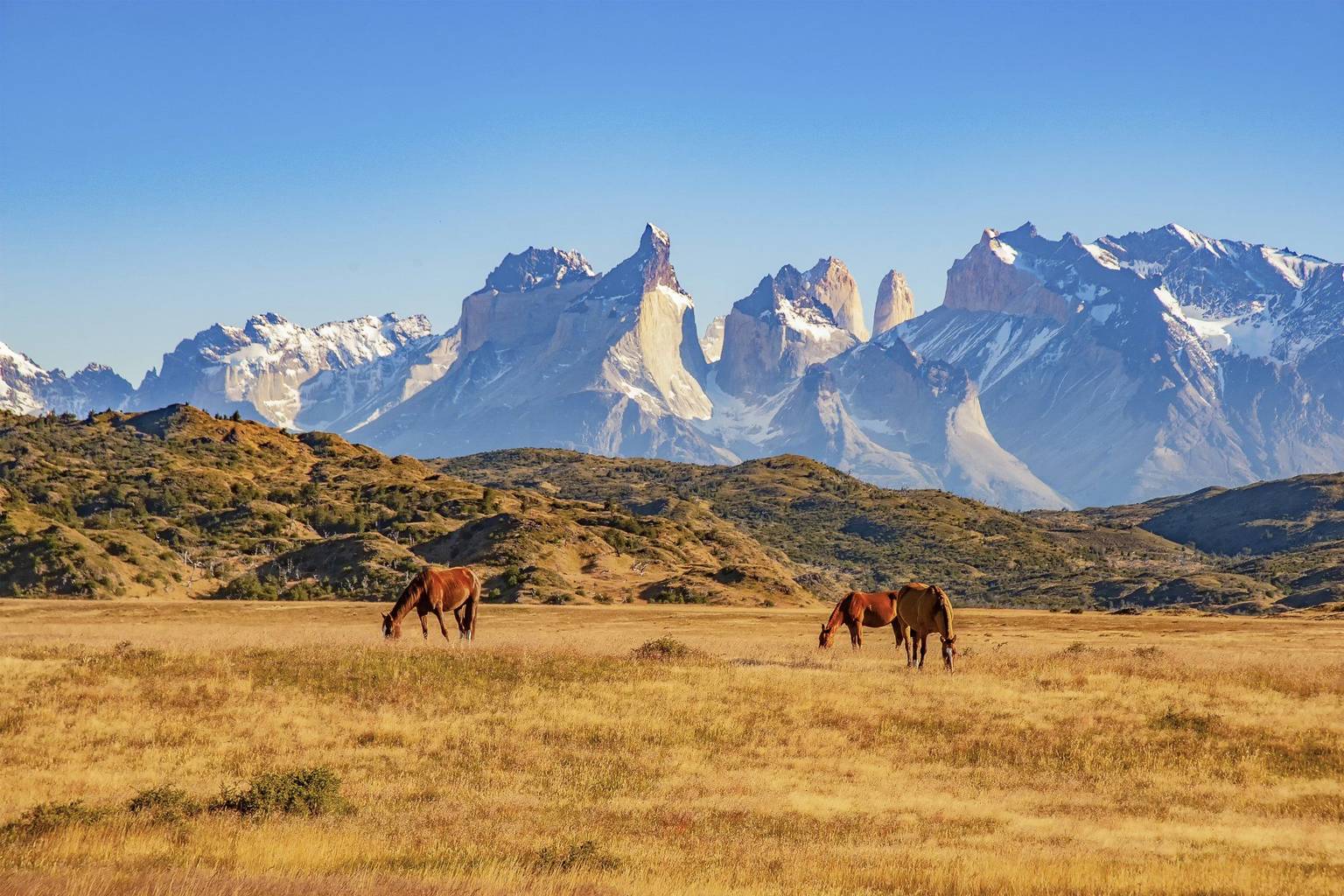 Guide de voyage Patagonie : que voir, que faire ?