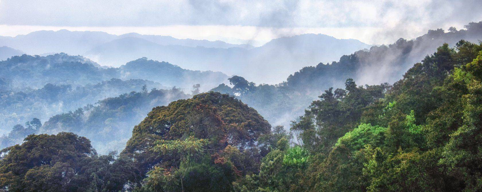 Voyage au Rwanda