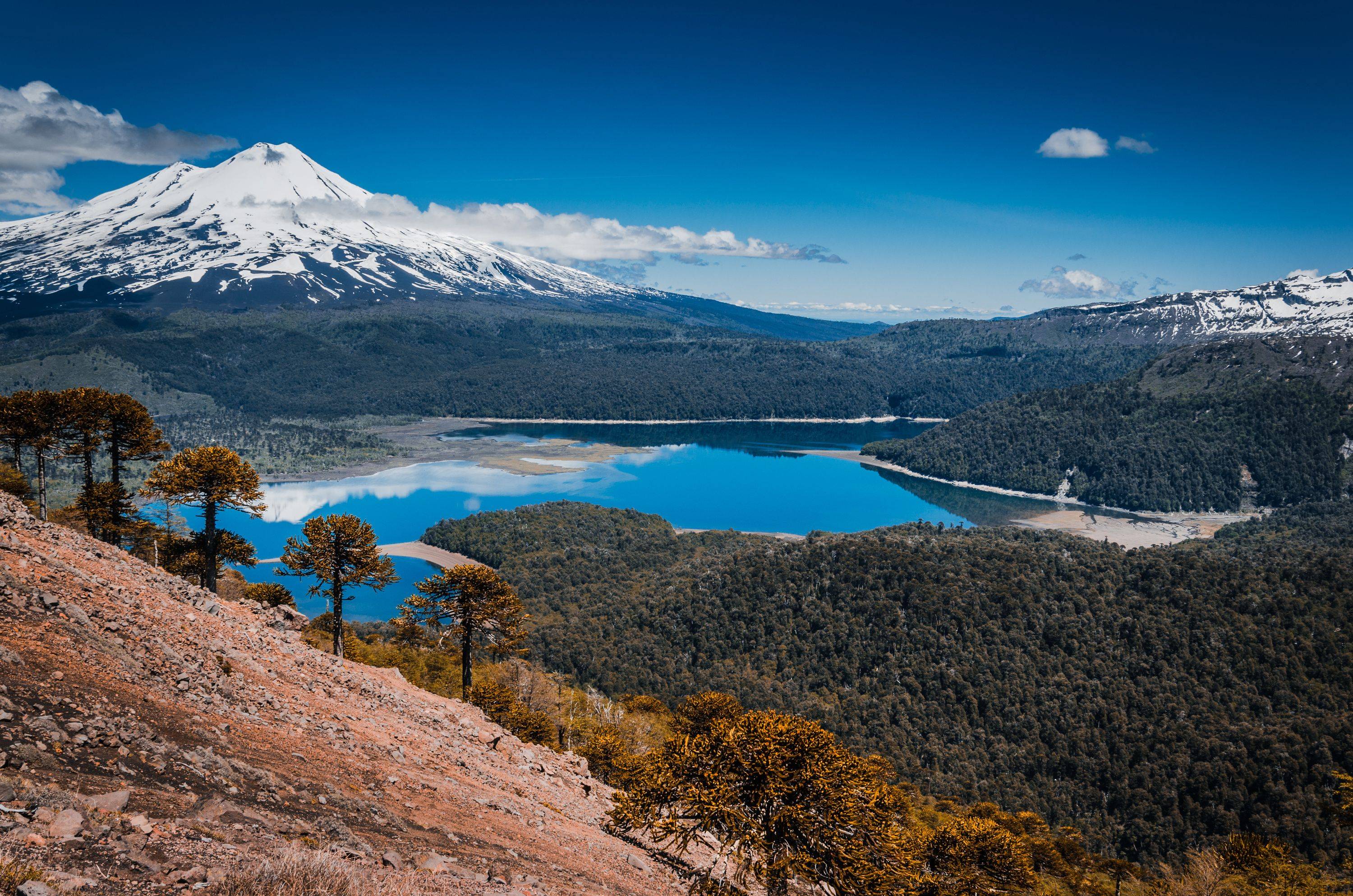 Images du Chili : la région des lacs, terre mapuché