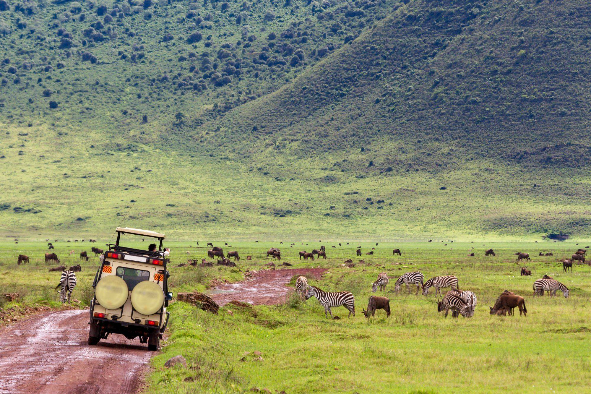 Les plus beaux parcs de Tanzanie