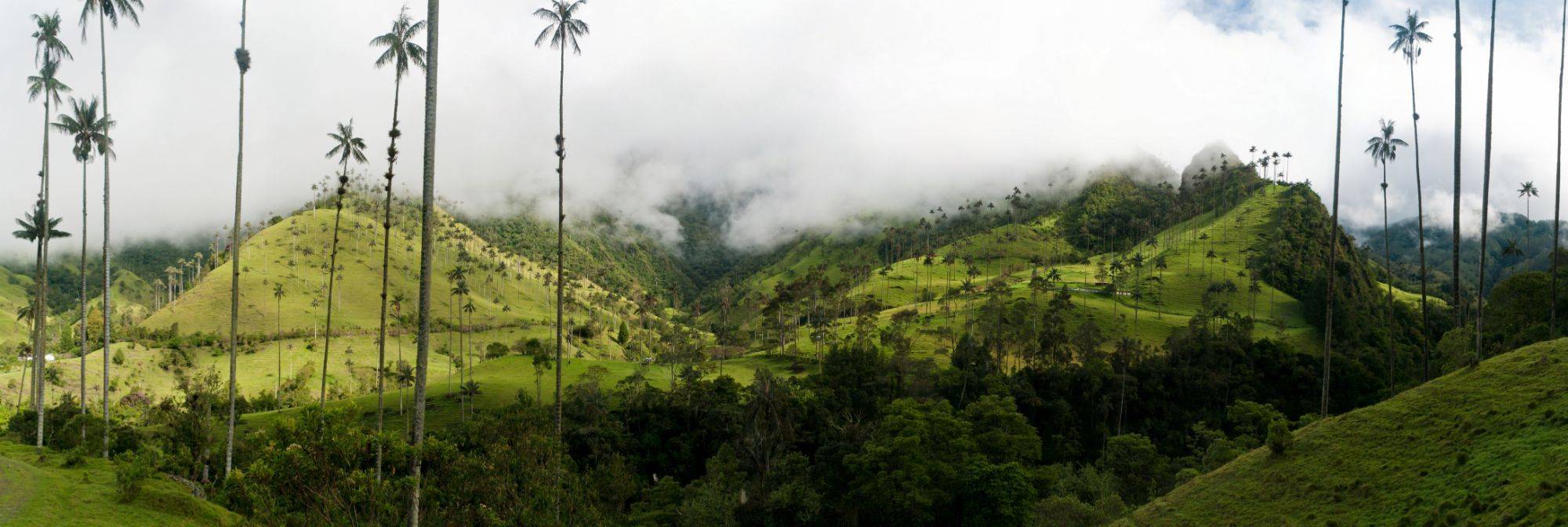 Guide de voyage Colombie : que voir, que faire ?