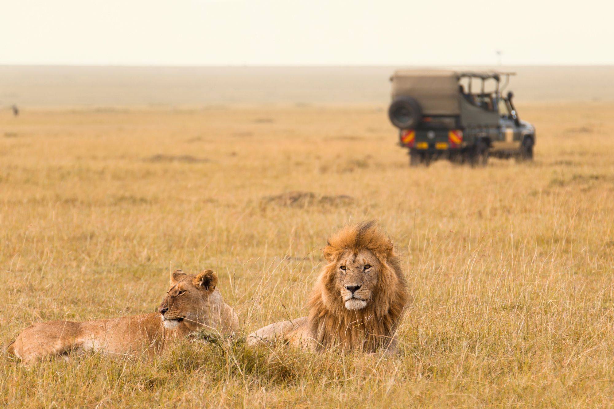 Tout ce qu’il faut savoir avant de partir au Kenya