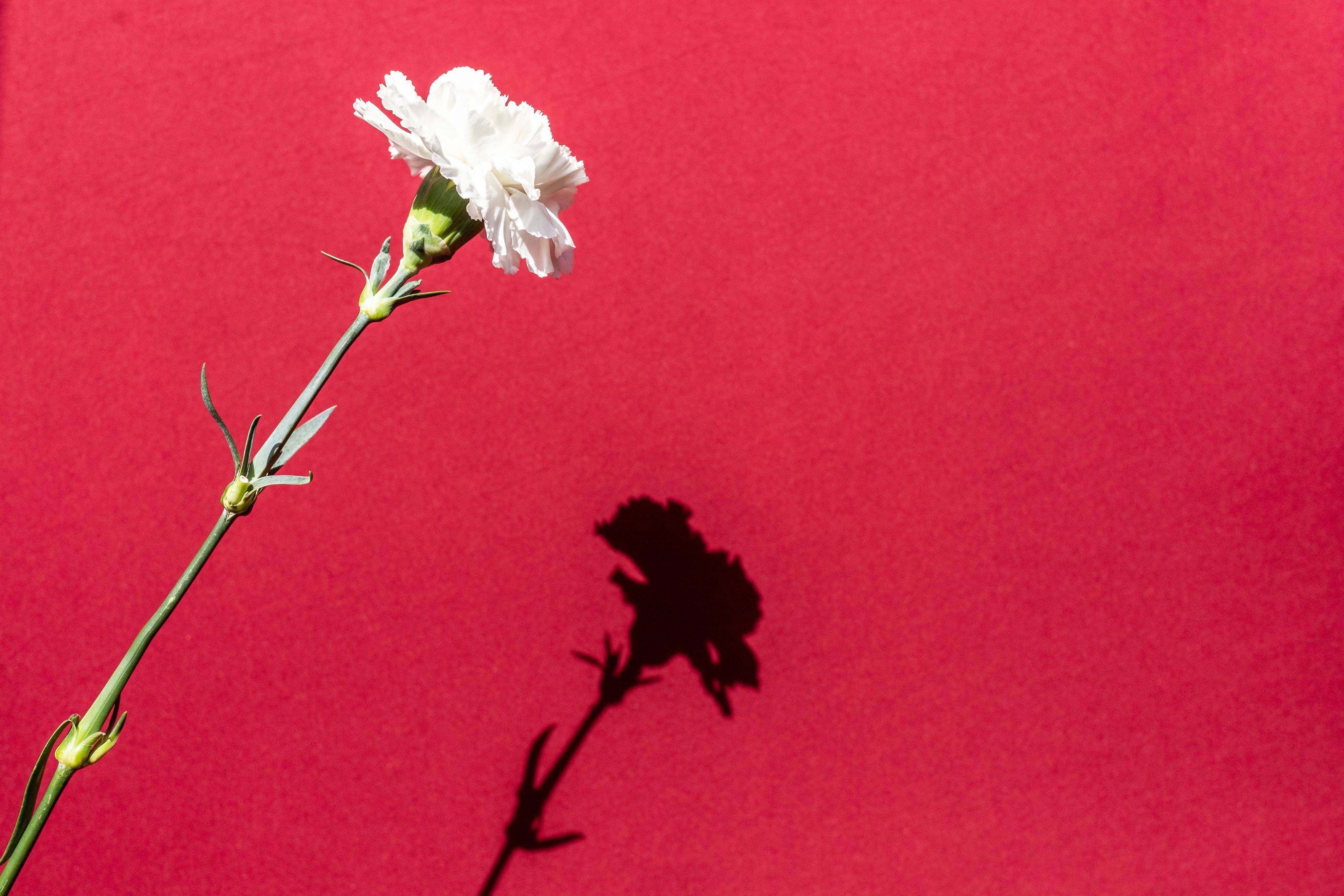 Portugal, Espagne et Grèce : le 50ème anniversaire de la fin des dictatures