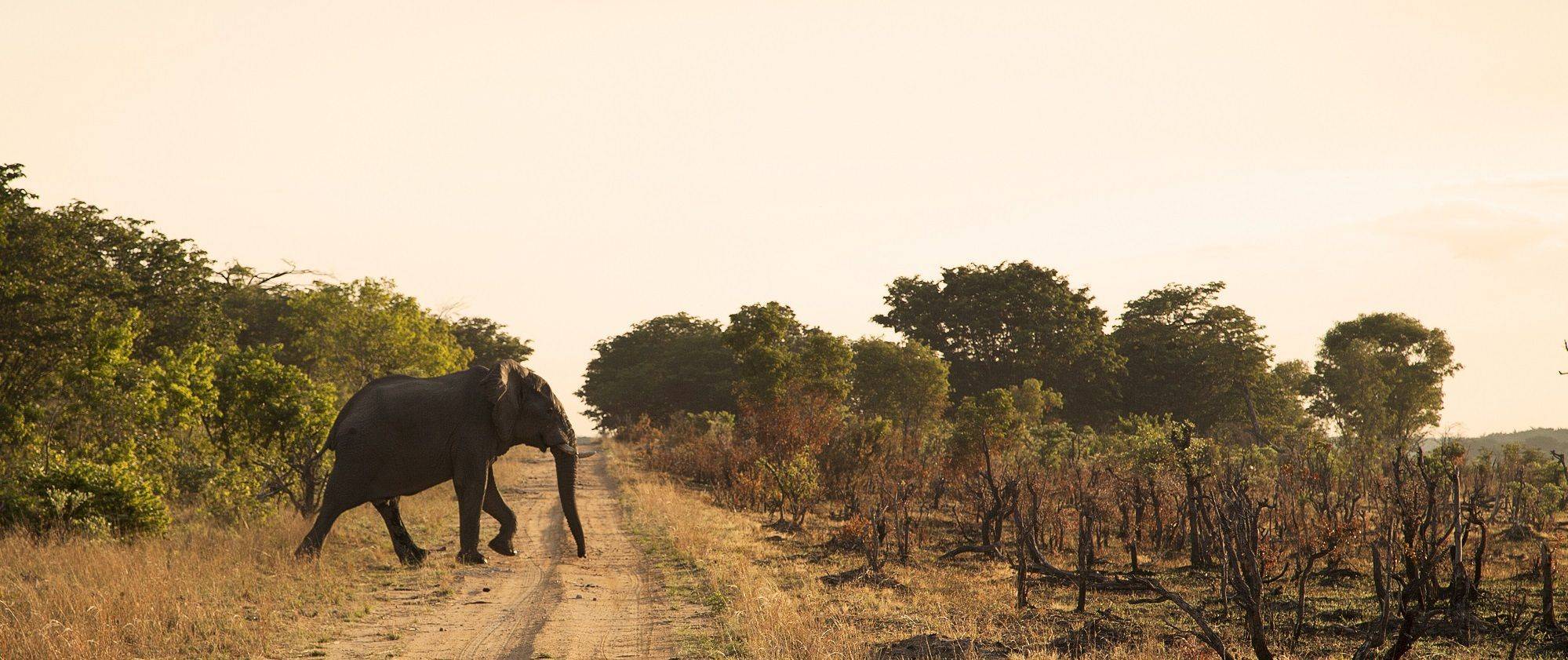 Circuit accompagné Zimbabwe