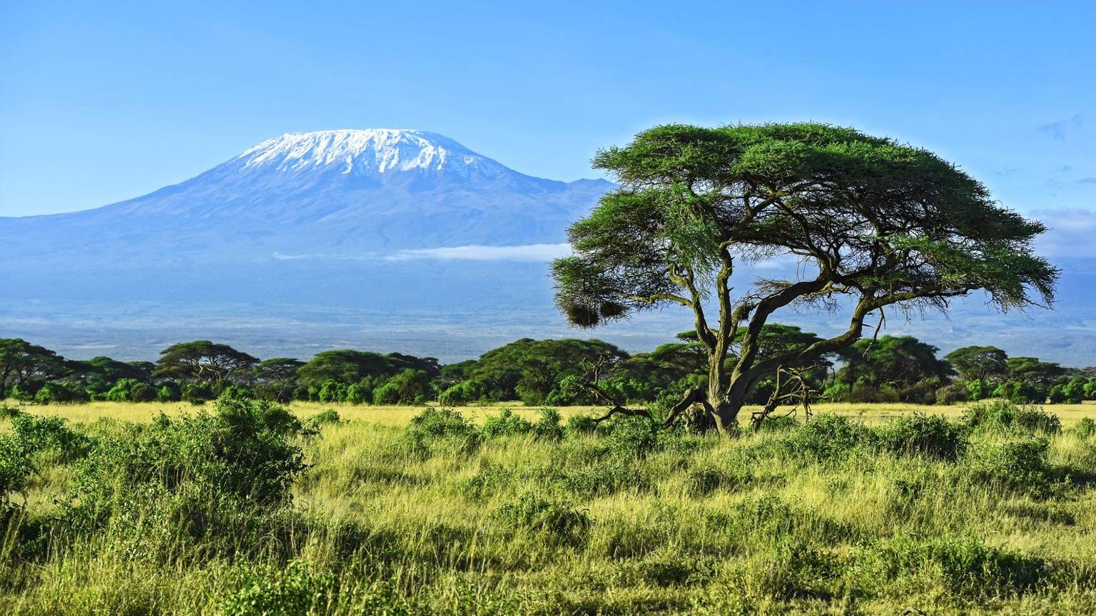 Guide de voyage Tanzanie : que voir, que faire ?