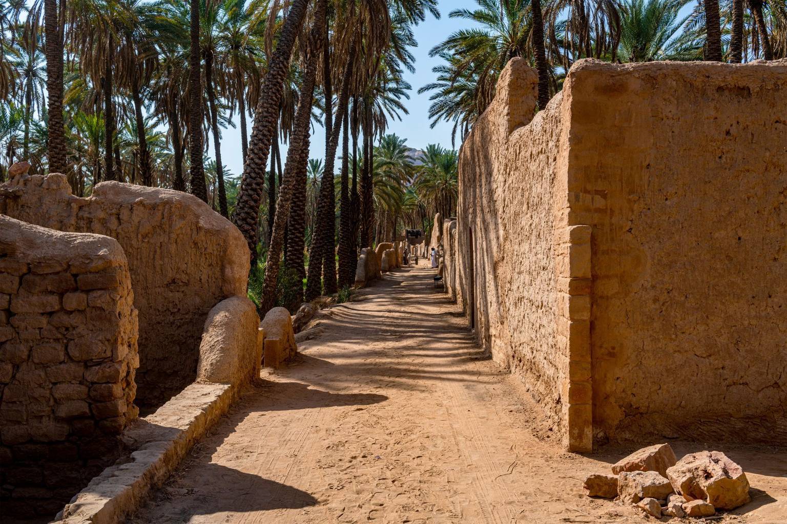 AlUla, trésor d'Arabie
