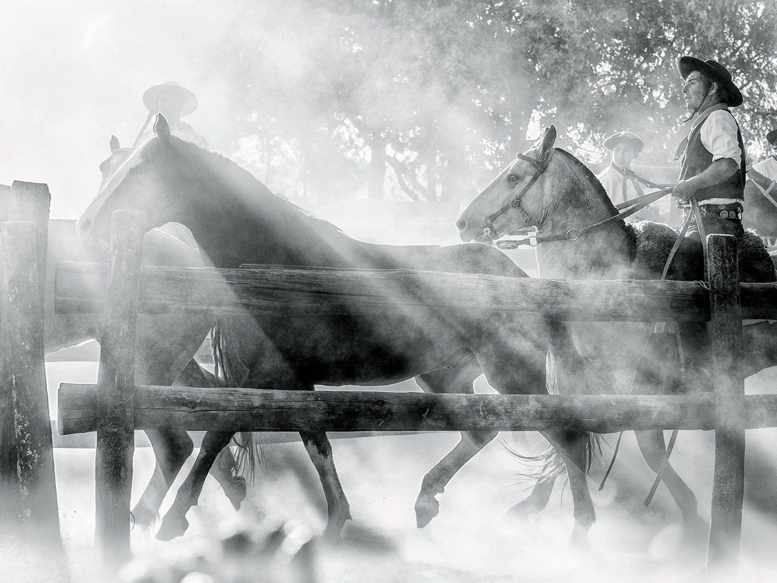 Voyages en Amérique Latine 2018 / 2019