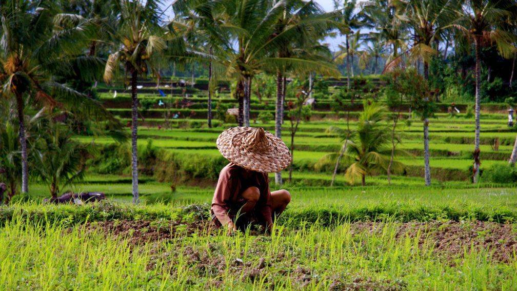 Voyage Ubud