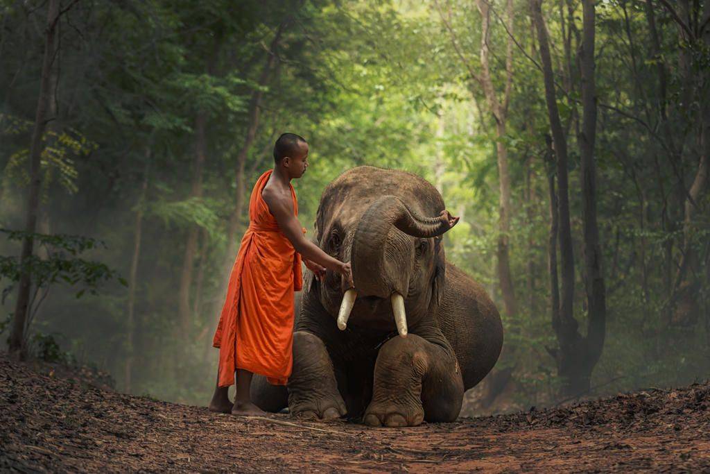 Images de la Birmanie