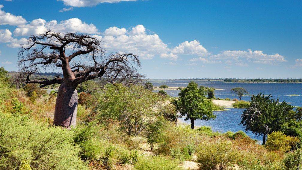 Voyage Chobe