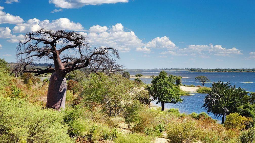 Voyage Okavango