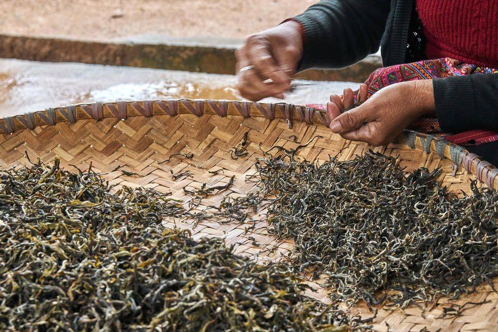 Présentation du voyage " Chine, à la découverte de la civilisation du thé"