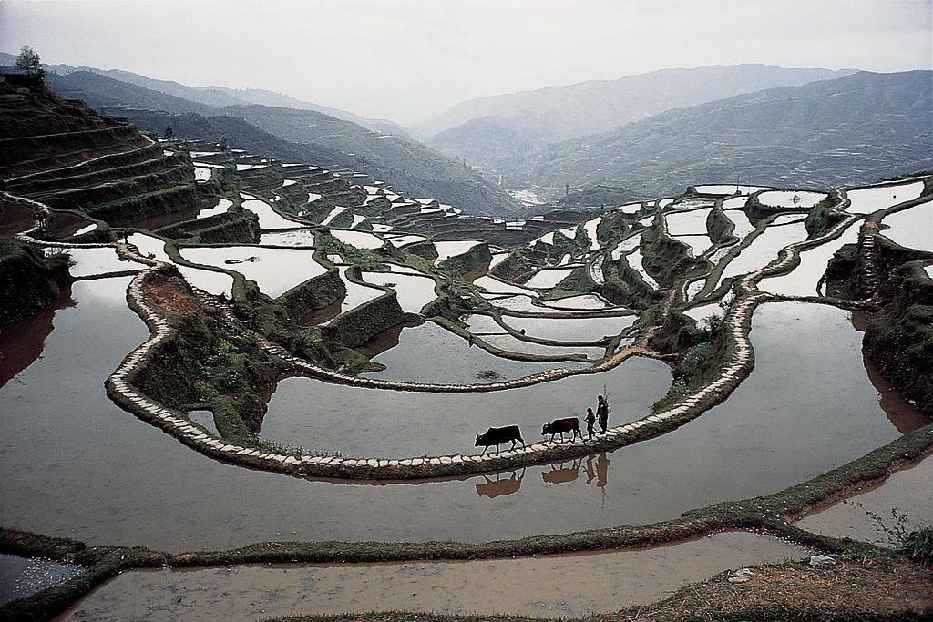Le Guizhou