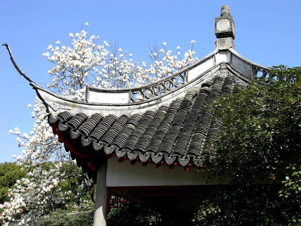 Quand la Chine s'éveille verte...