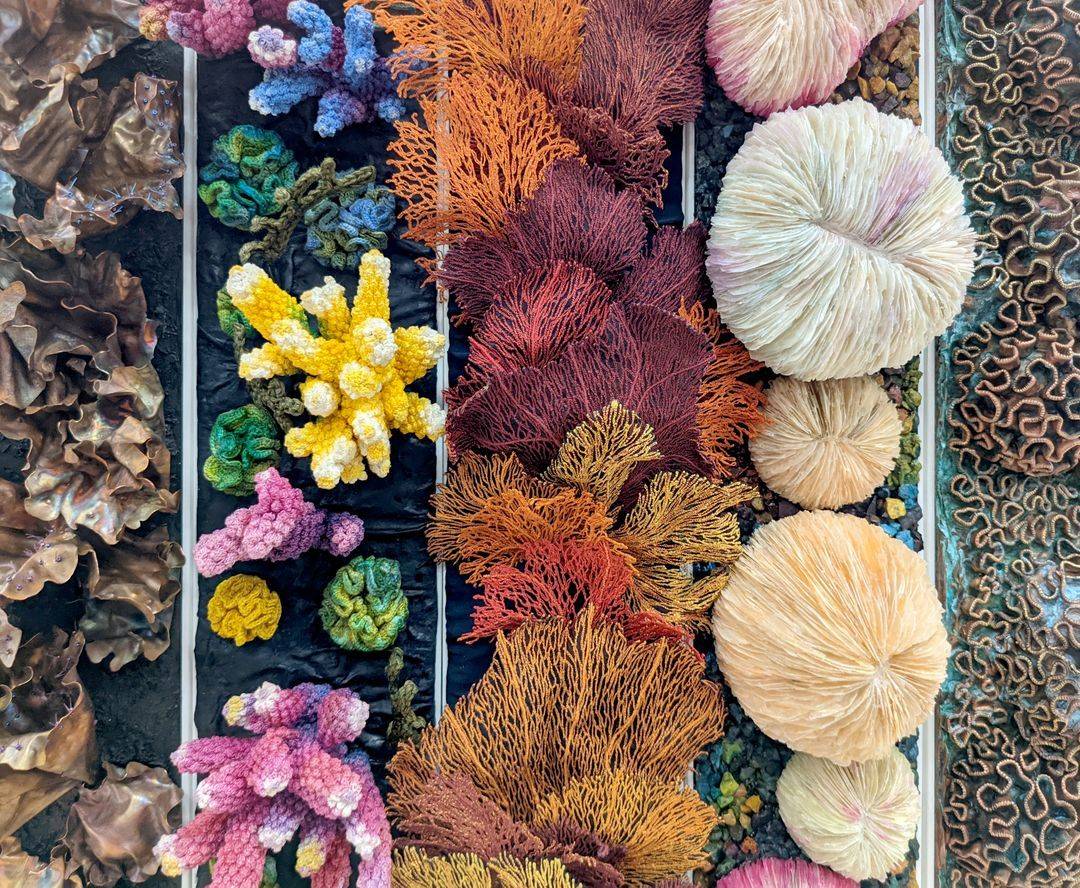 L'art au secours des barrières de corail