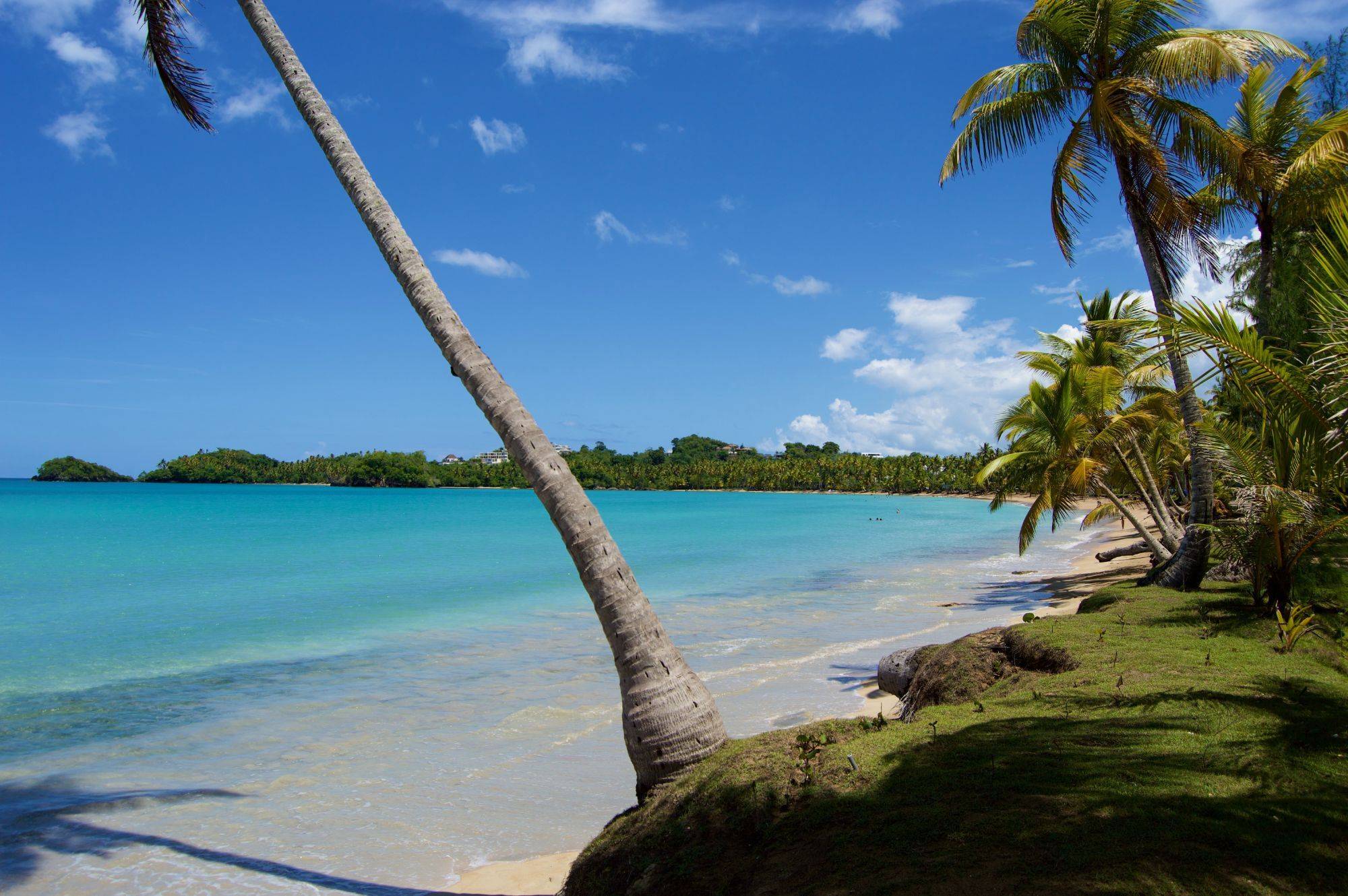 Guide de voyage République dominicaine : que voir, que faire ?