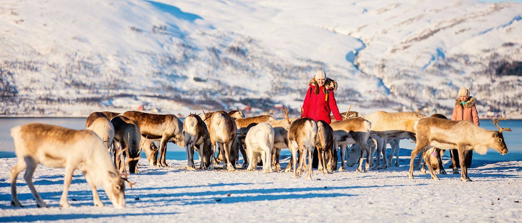 Voyage en famille Suède