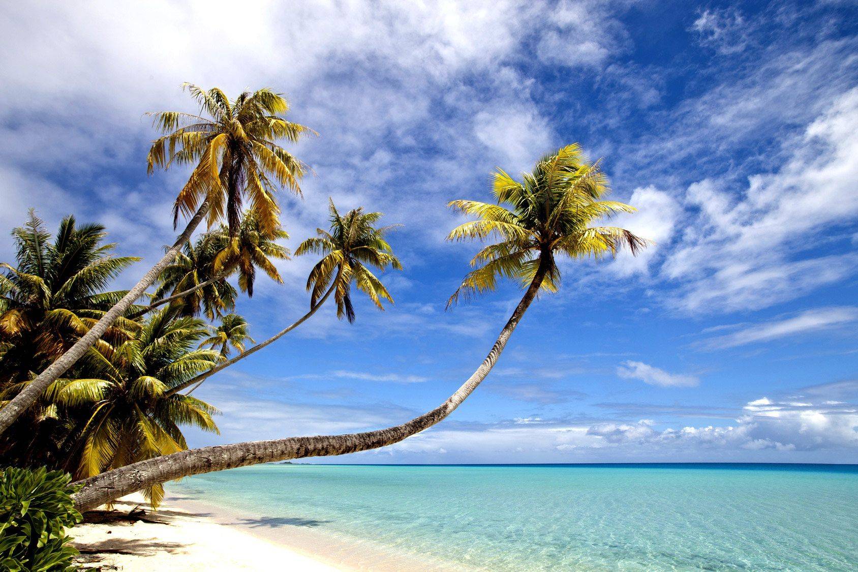 Voyage Fakarava