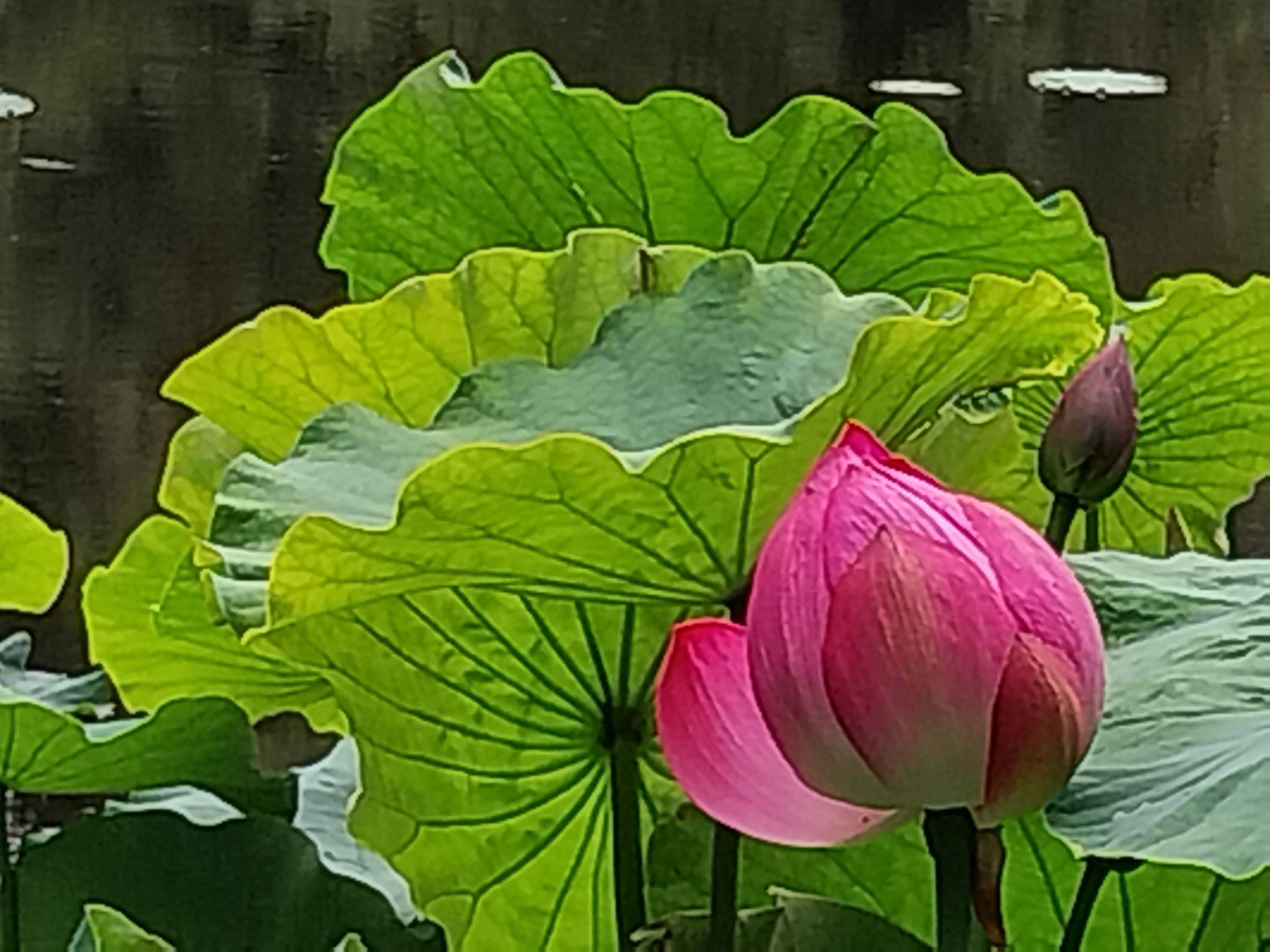 Rencontre autour du qi gong pour une découverte du monde vibratoire