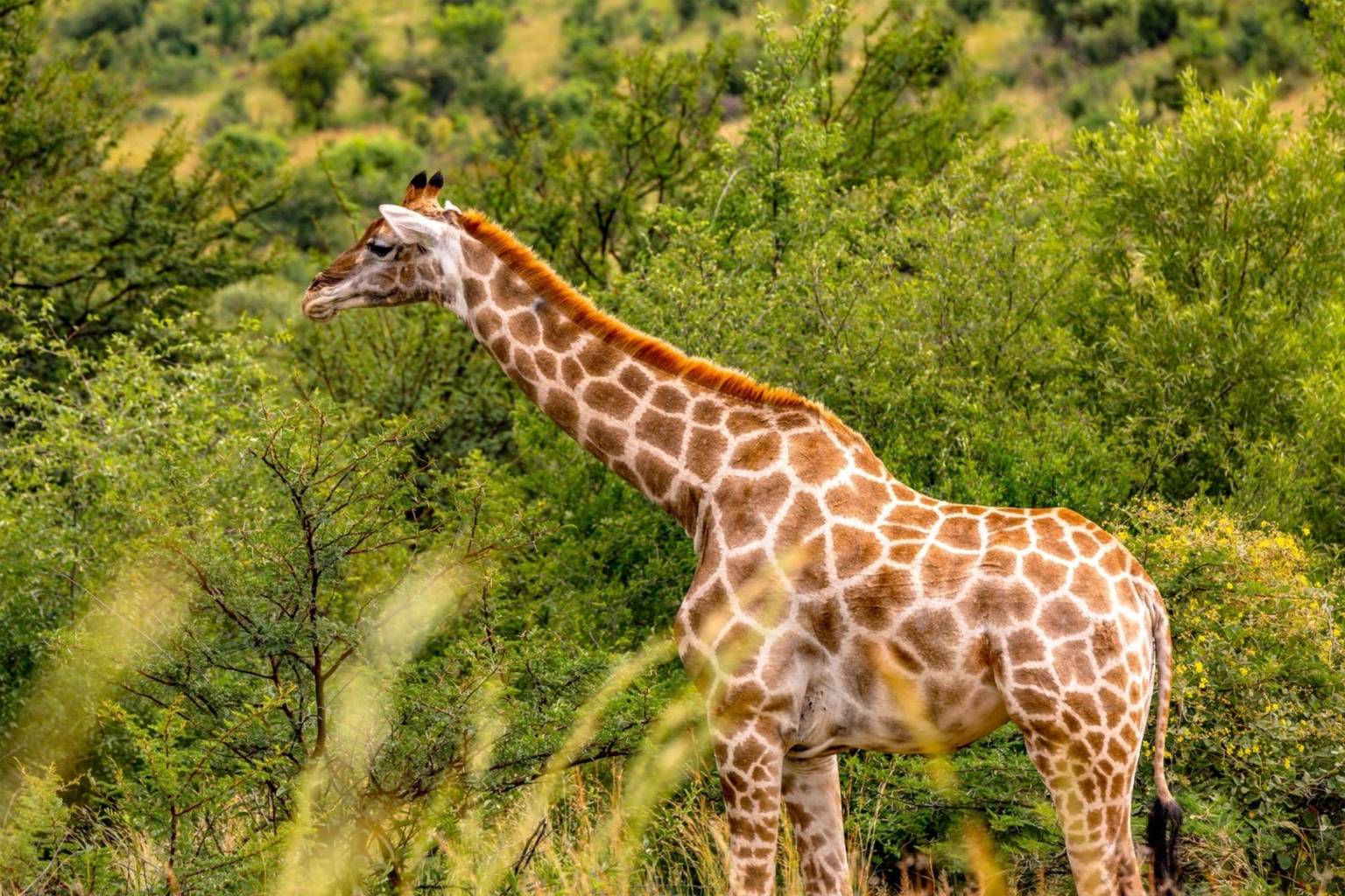 Carnet de voyage en Tanzanie