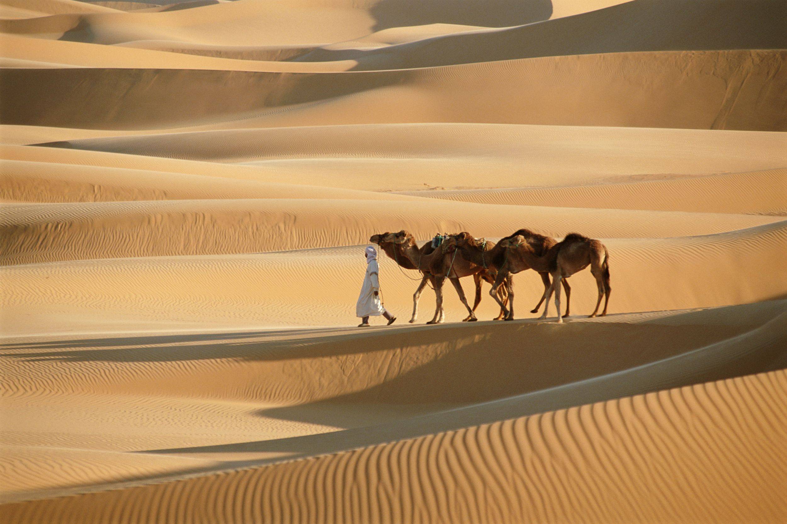5 bonnes raisons de partir en Algérie