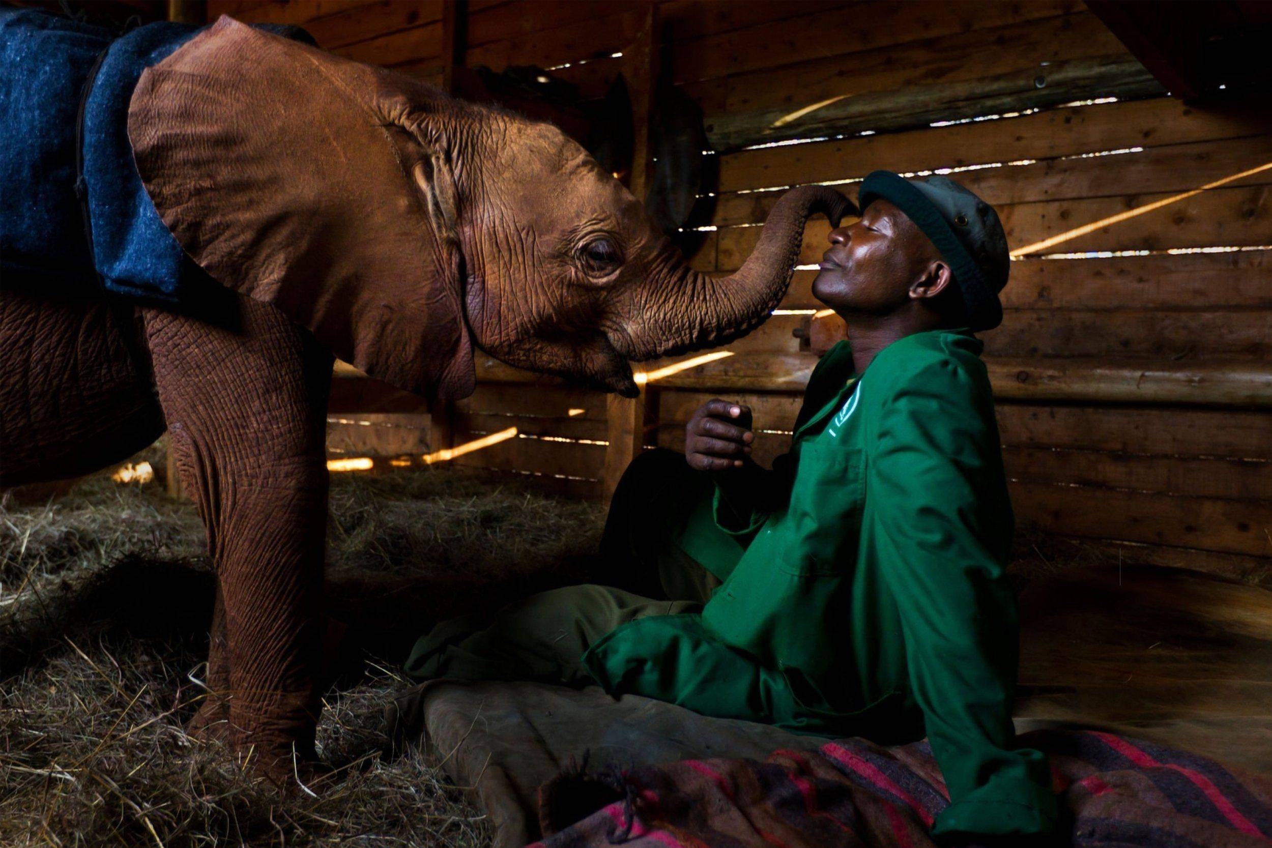 Brent Stirton, l'art photographique au service de l'environnement