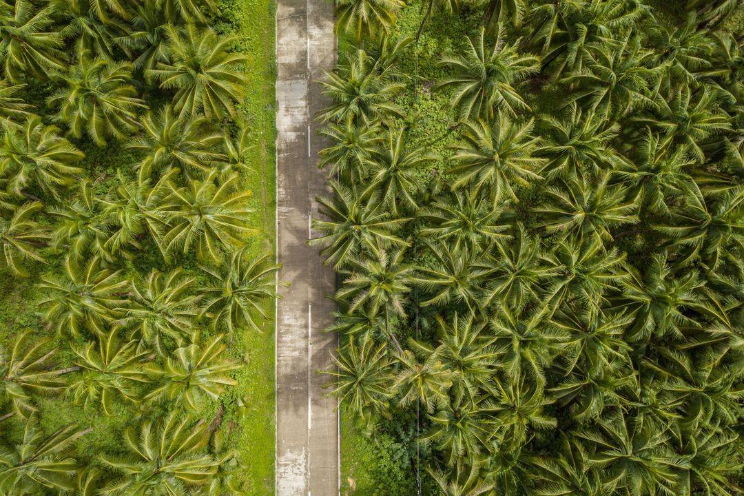 3 expériences uniques à vivre aux Philippines