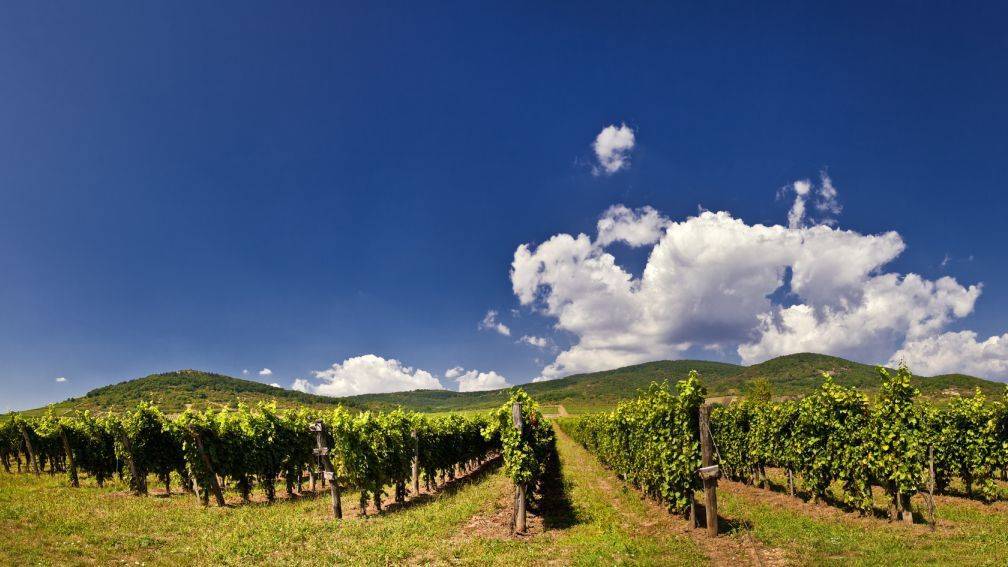 Guide de voyage Hongrie : que voir, que faire ?