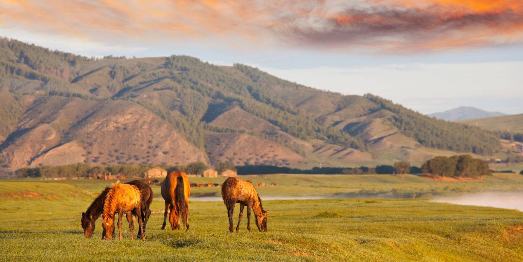 Informations pratiques Mongolie