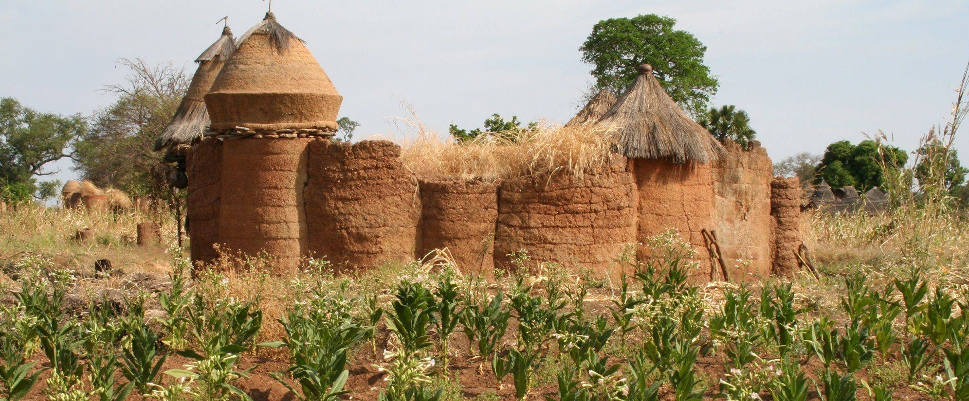 Circuit accompagné Benin