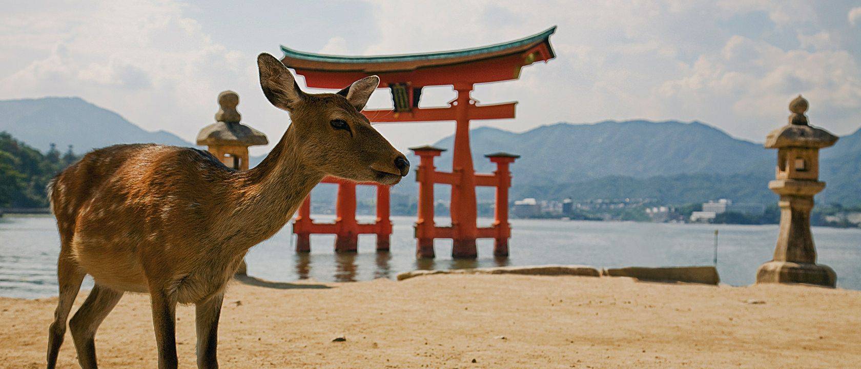Voyage à deux Hiroshima