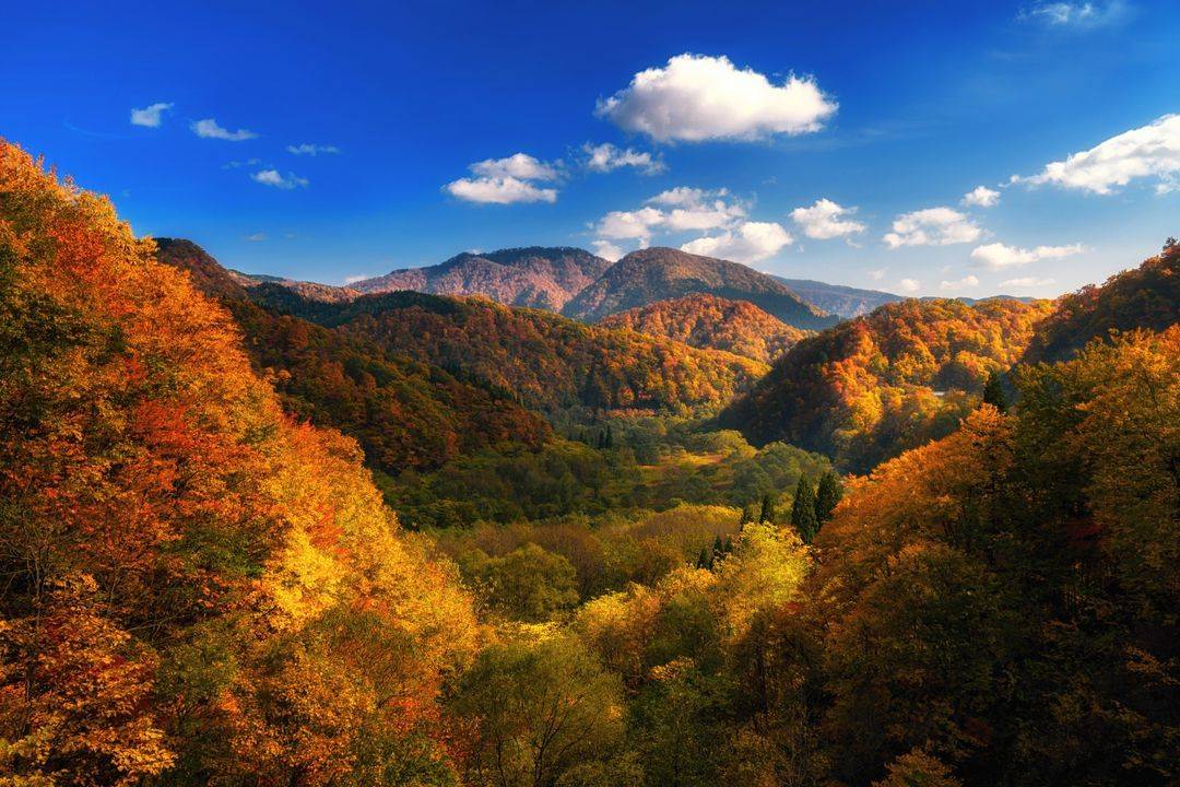 Nouveautés : 10 destinations à l'affiche