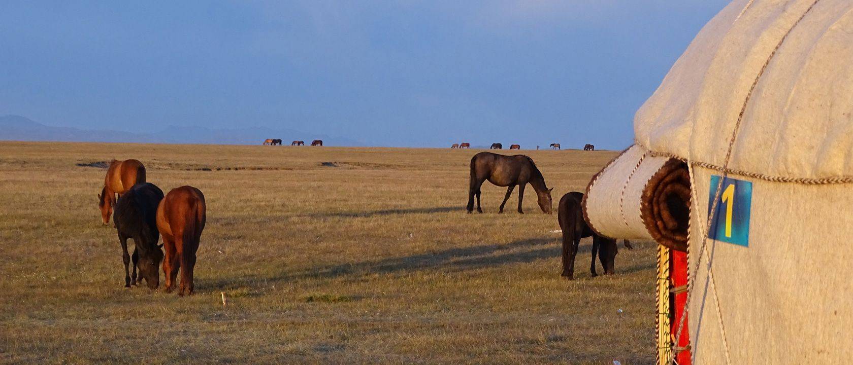 Voyage sur mesure Kirghizistan