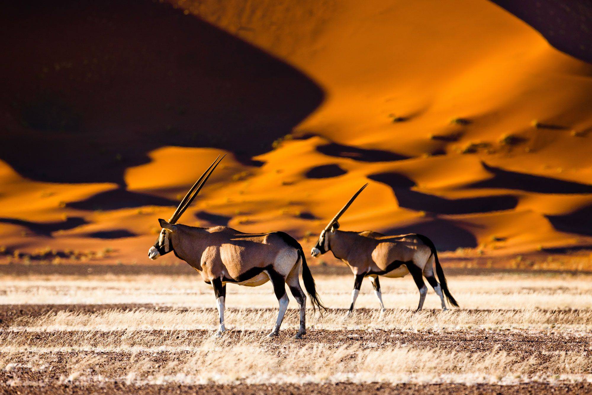 Les plus beaux paysages de Namibie