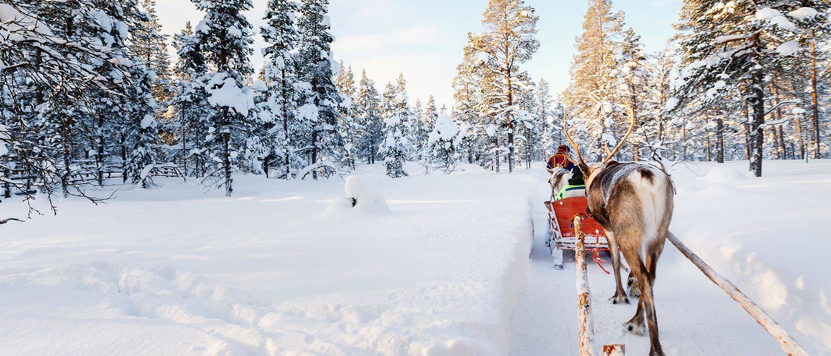 Séjour Laponie