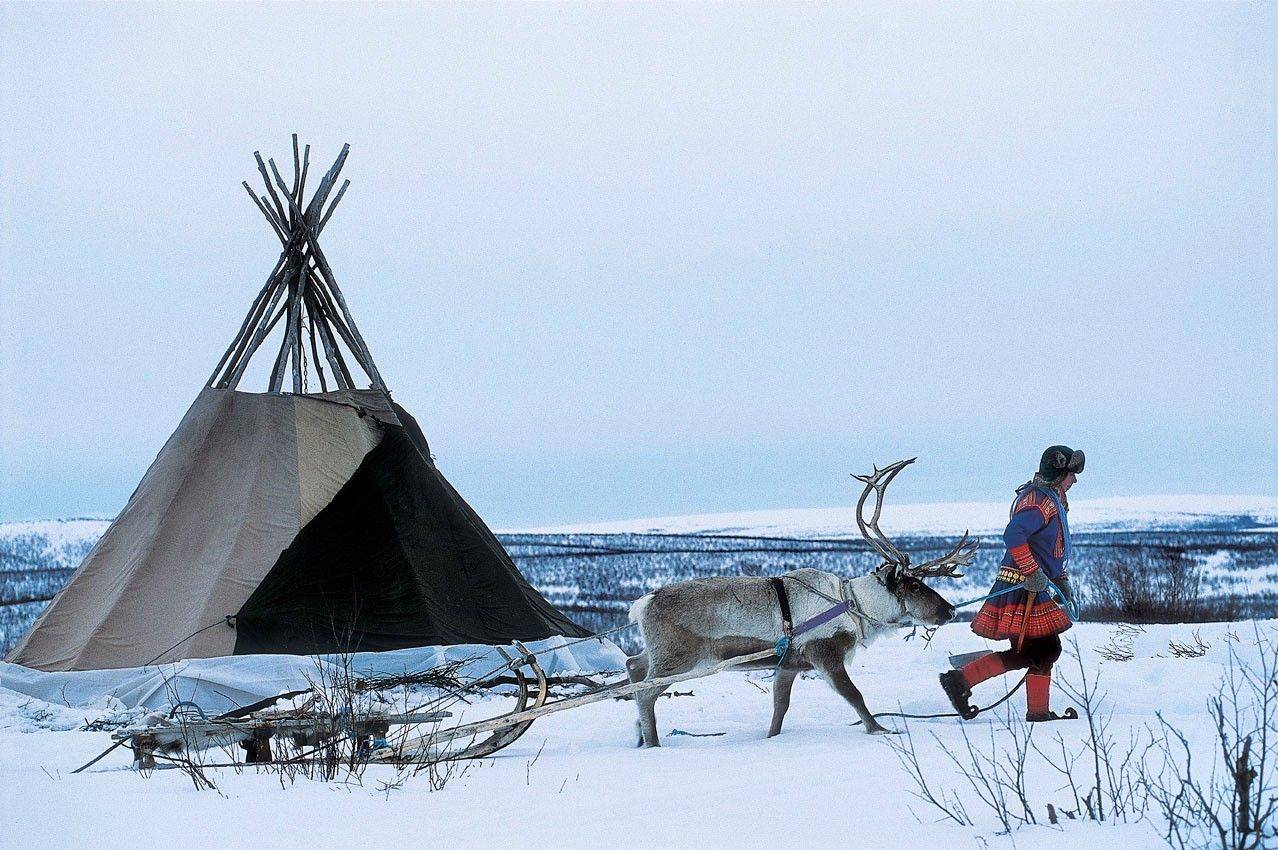 Cercle arctique : les Samis, un peuple sans État