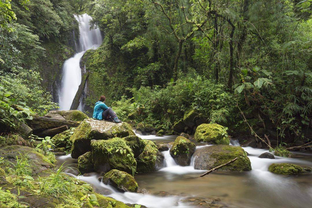 Le Costa Rica confirme en 2019 son rôle de pionnier de l'écologie mondiale