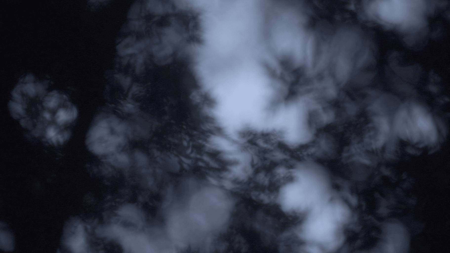 Voyage intérieur - Les Ombres errantes