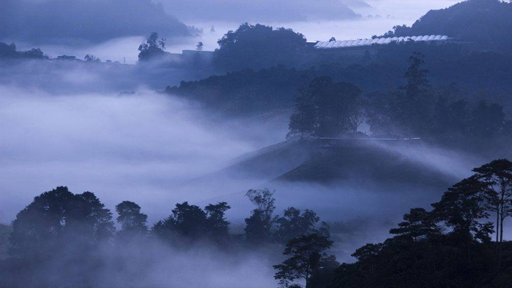 Voyage Cameron Highlands