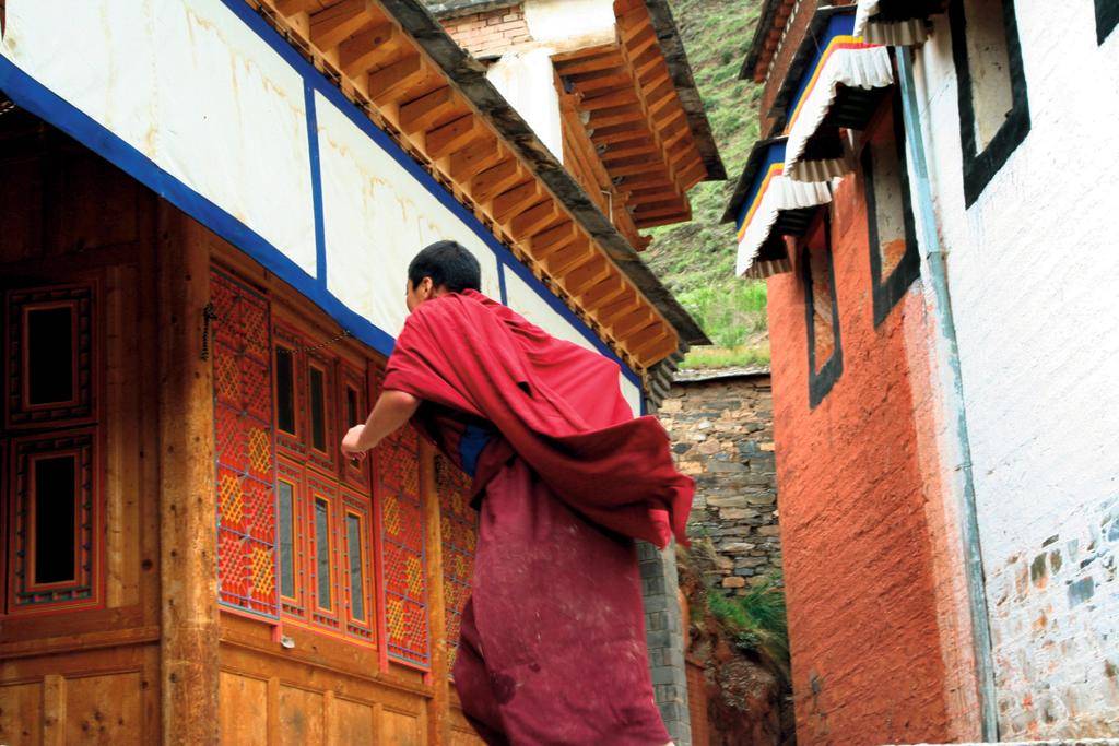 Enjeux, réseaux et figures du « bouddhisme engagé », très influent en Asie du Su