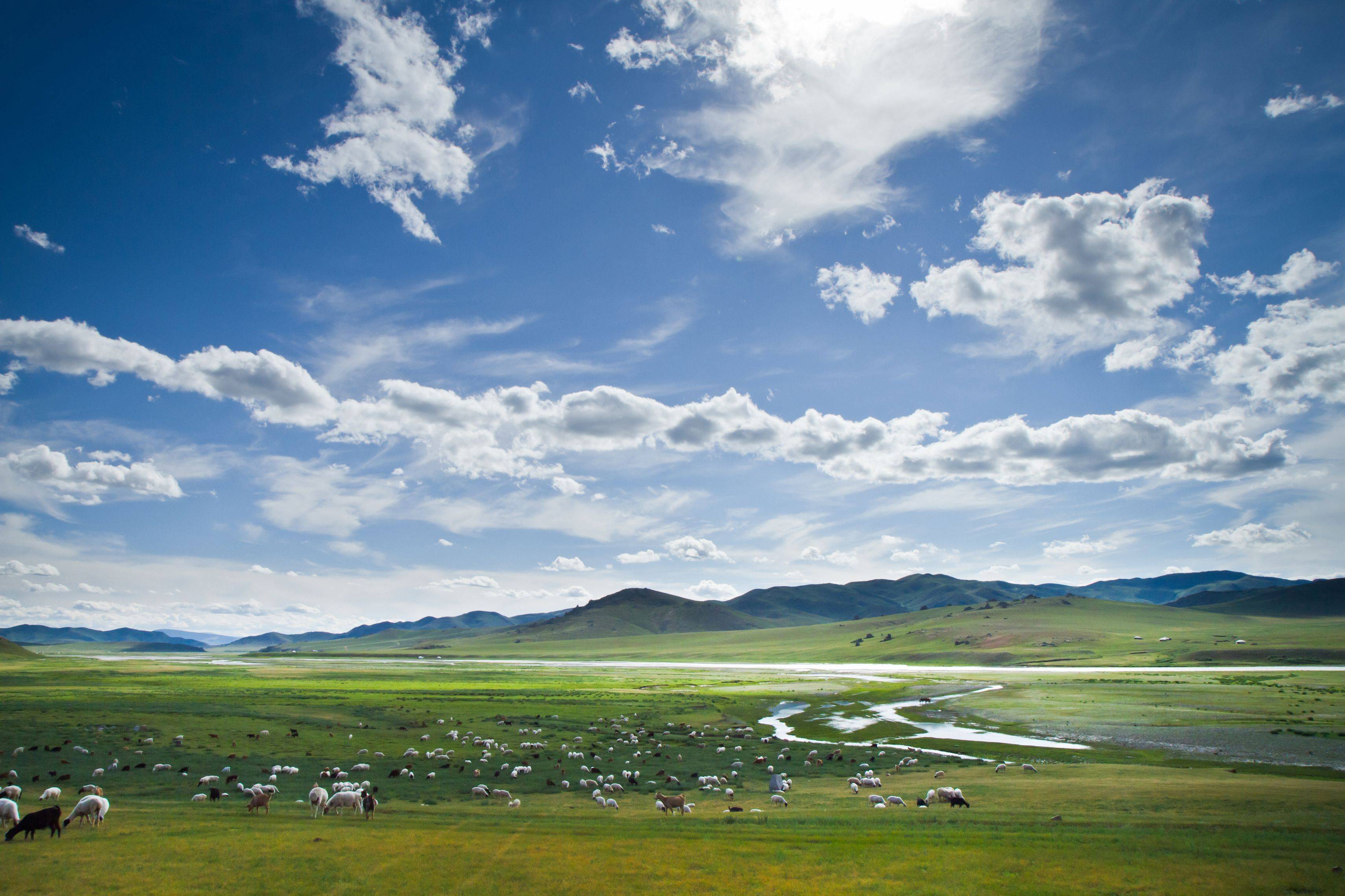 Mongolie, empire des steppes