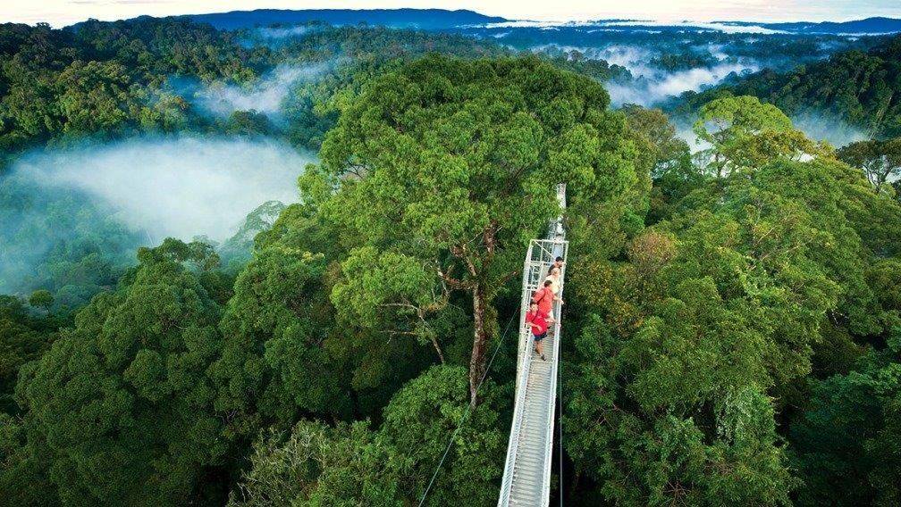 Voyage Monteverde