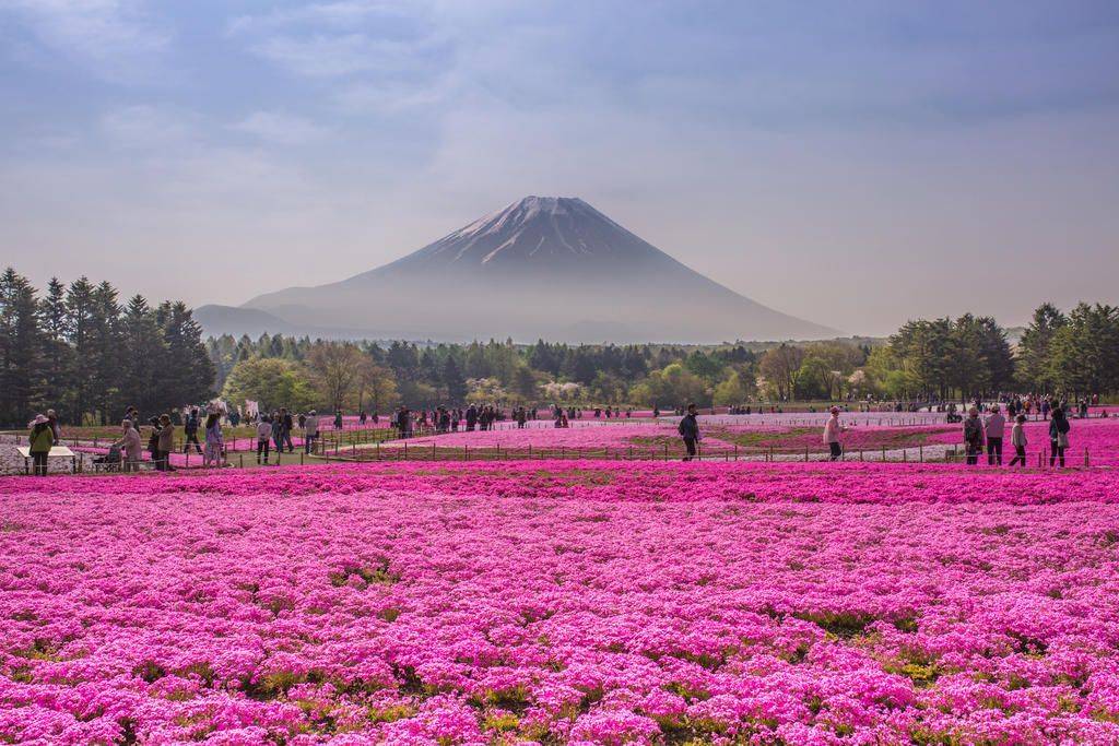 Couleurs du Japon