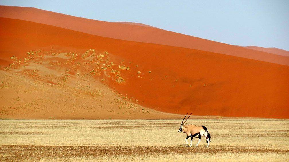 Voyage Désert du Namib