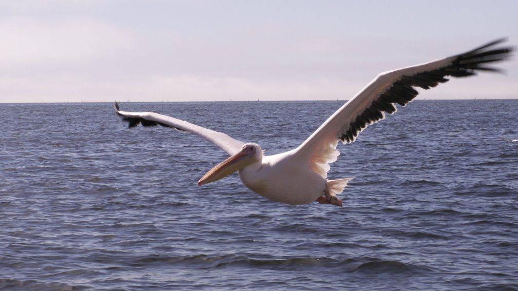 Voyage Walvis Bay