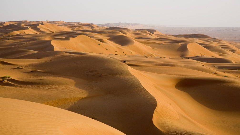Voyage Désert des Wahibas