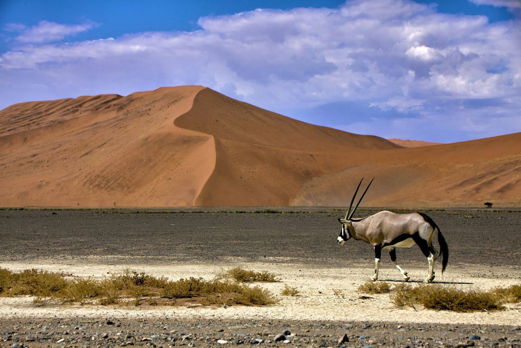 Trésors de Namibie