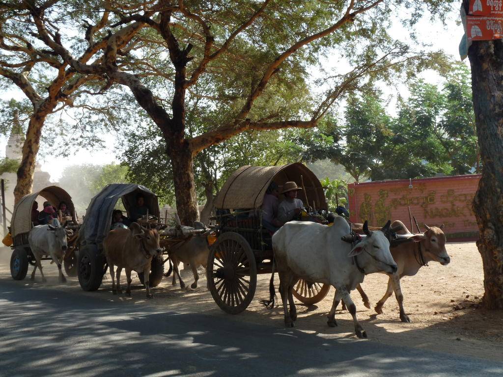 - L'Indochine, carrefour de deux stratégies concurrentes  (« One Belt One Road »