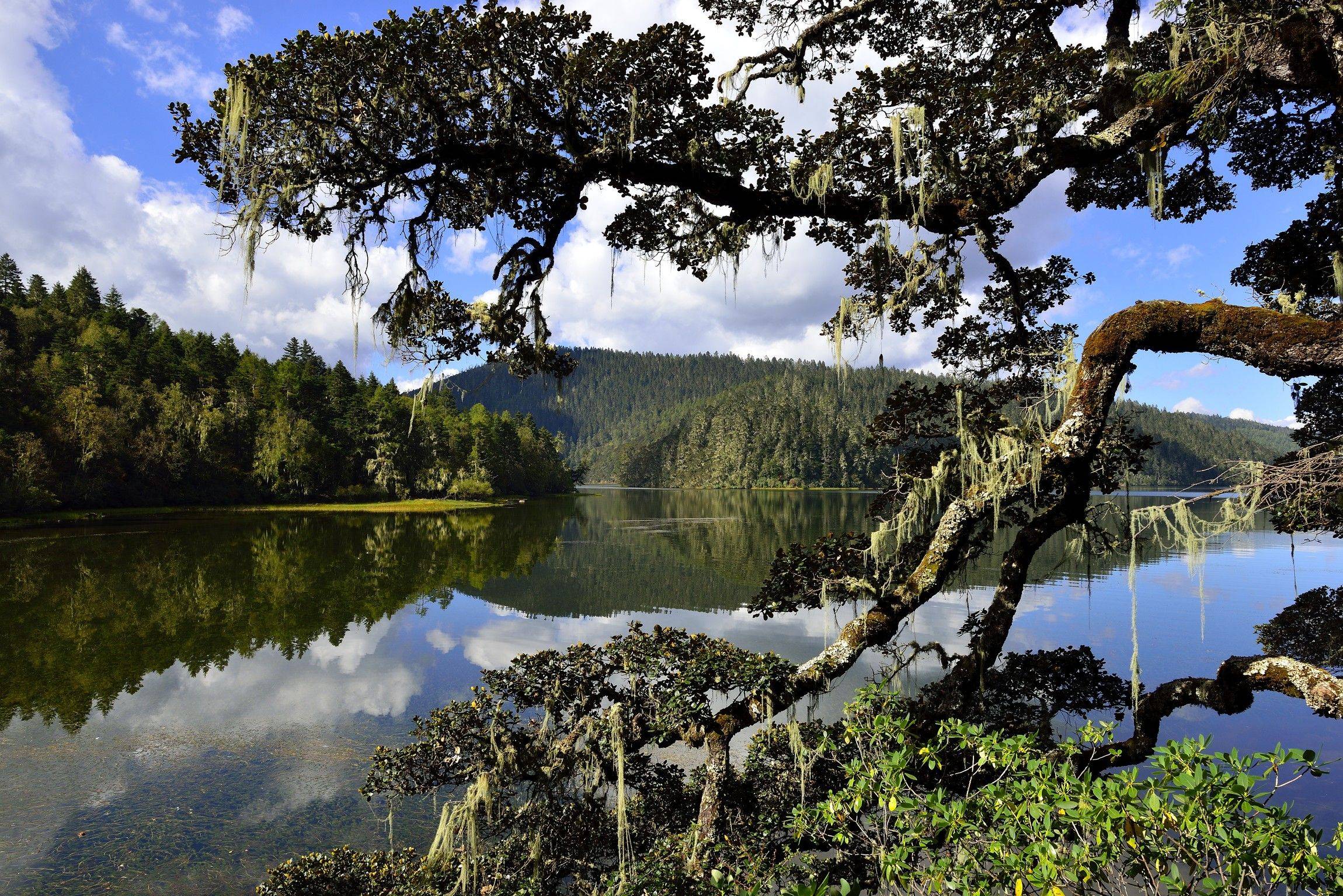 Au cœur de la Chine du Sud-Ouest, le tourisme durable