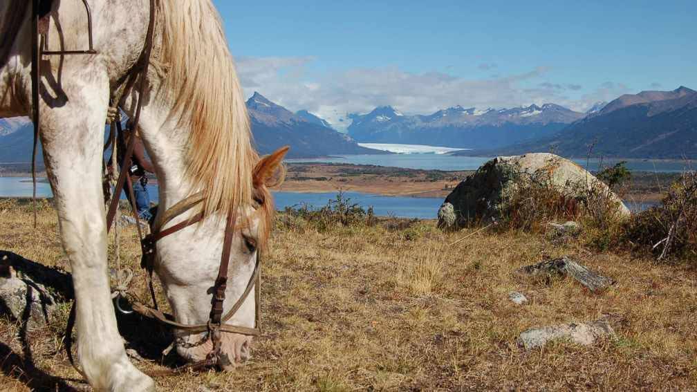 Voyage El Calafate